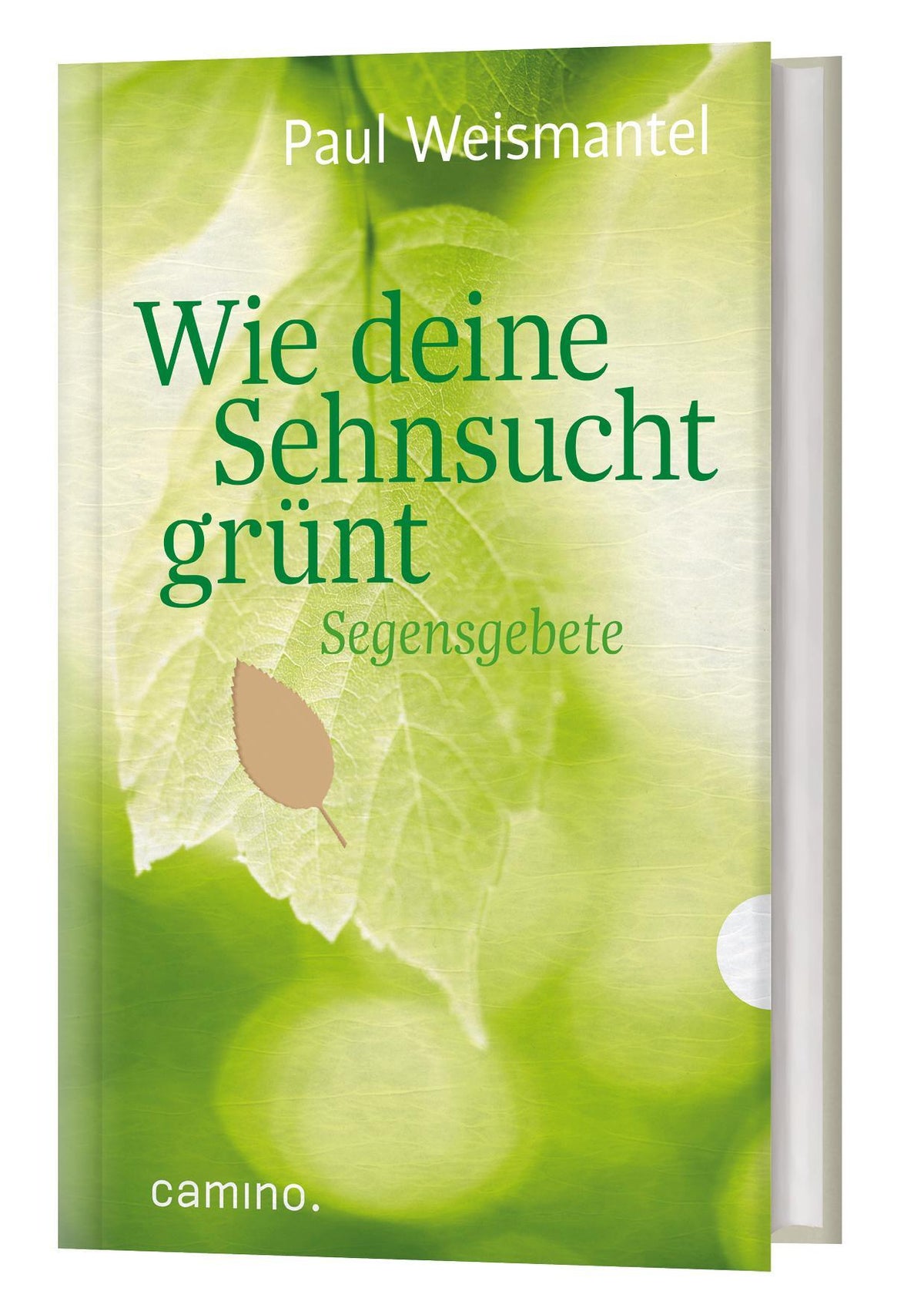 Buchcover: Wie deine Sehnsucht grünt