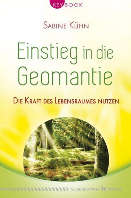 Buchcover: Einstieg in die Geomantie