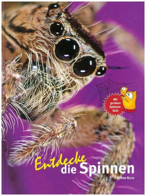 Entdecke die Spinnen