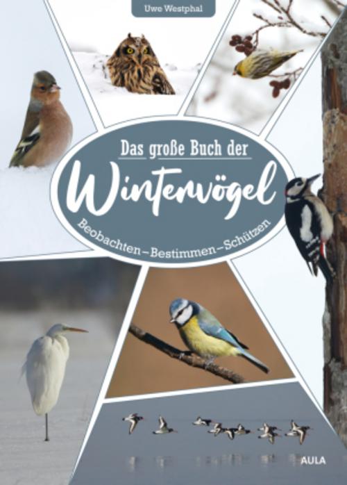 Buchcover: Das große Buch der Wintervögel