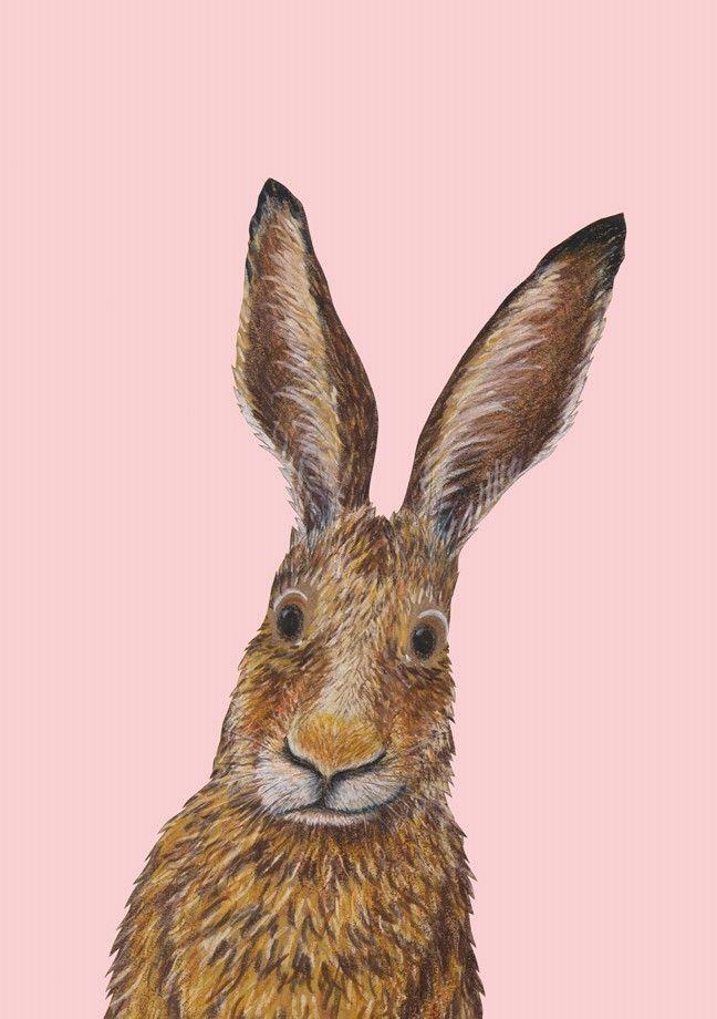 Buchcover: Ich heiße Hase, und... Postkarte VE 1=10