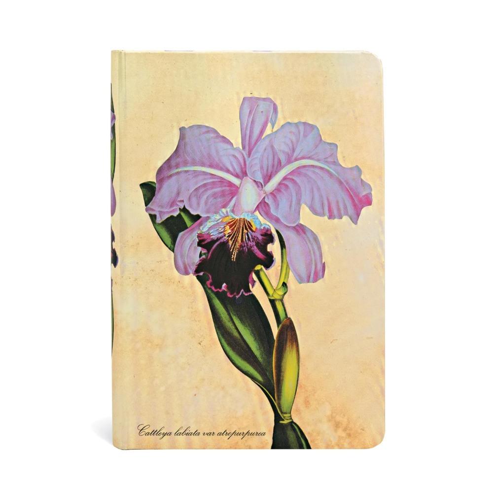 Notizbuch Brasilianische Orchidee Mini Unliniert