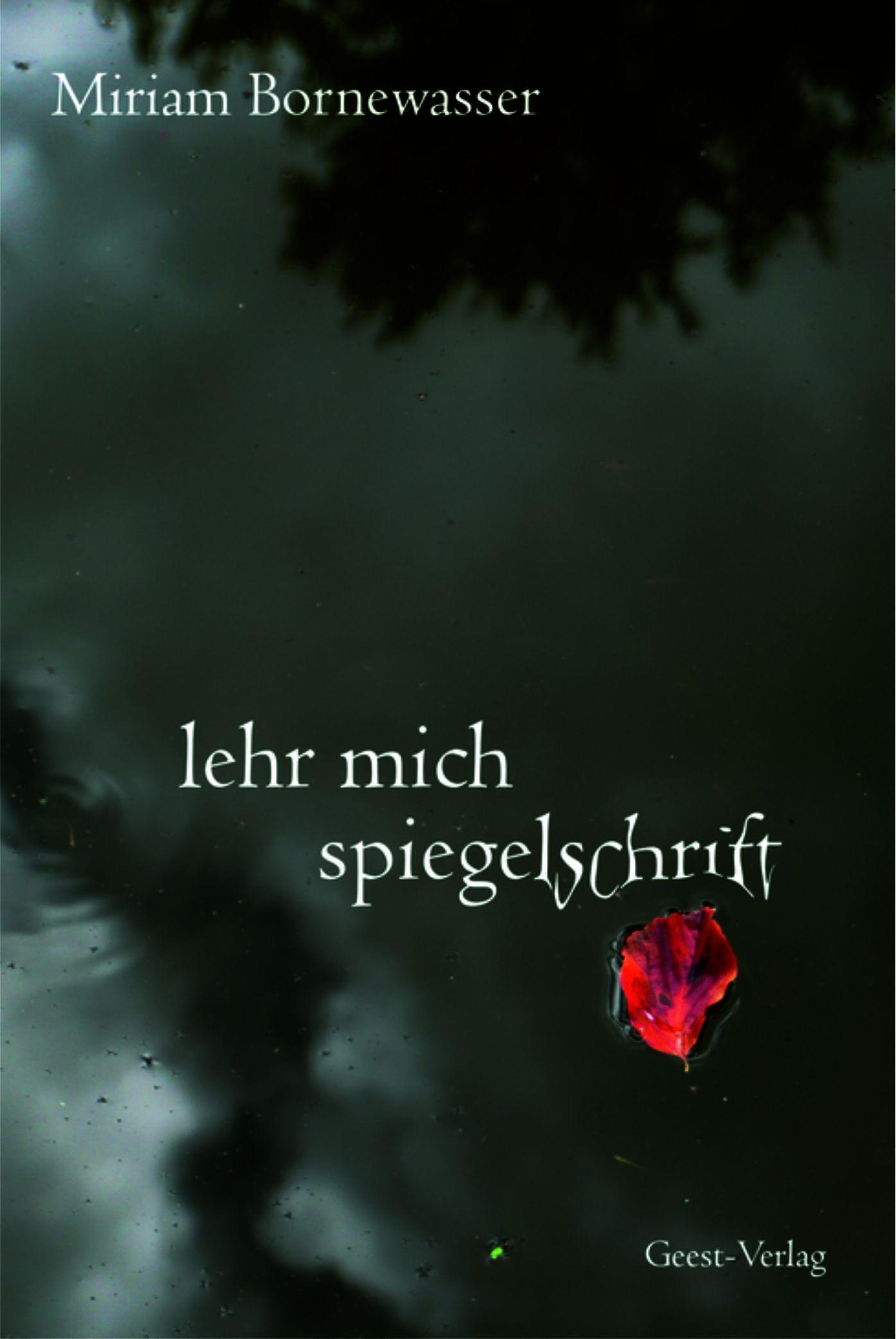 lehr mich spiegelschrift