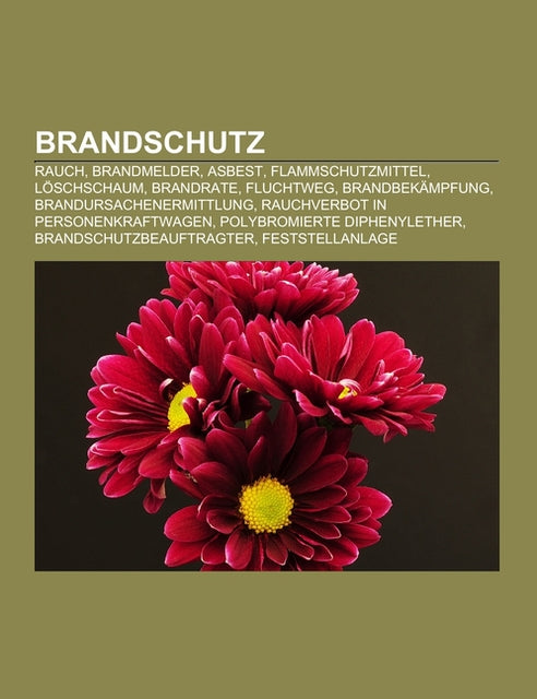 Buchcover: Brandschutz