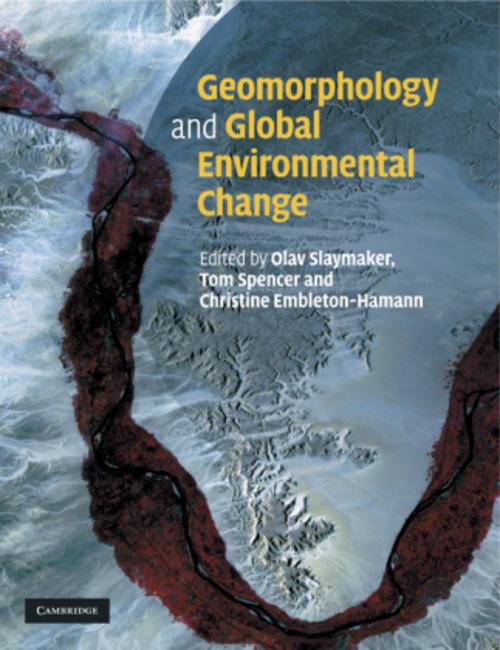 Buchcover: Geomorphology and Global Environmental Change