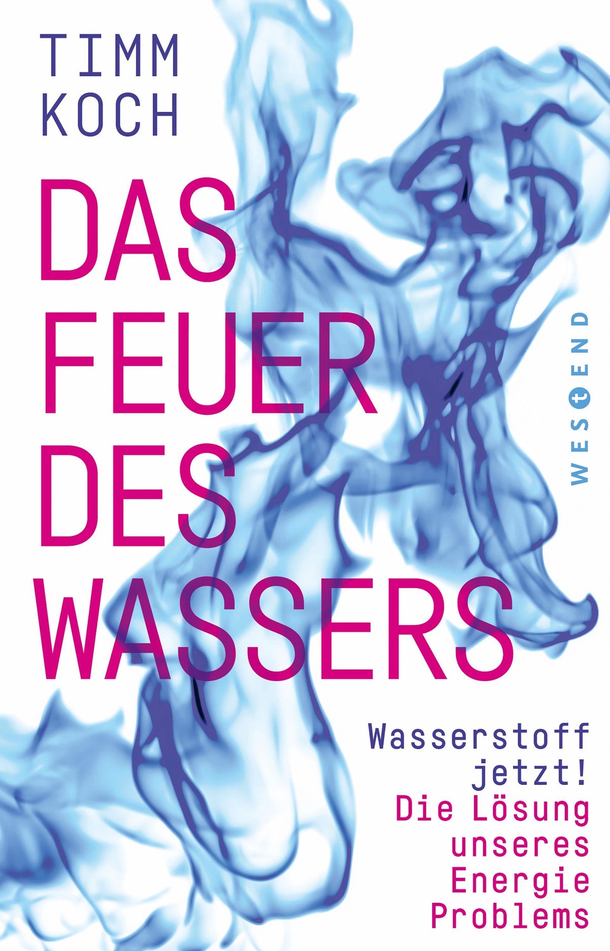 Buchcover: Das Feuer des Wassers