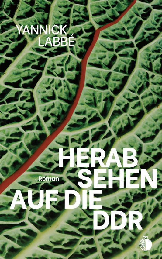 Herabsehen auf die DDR