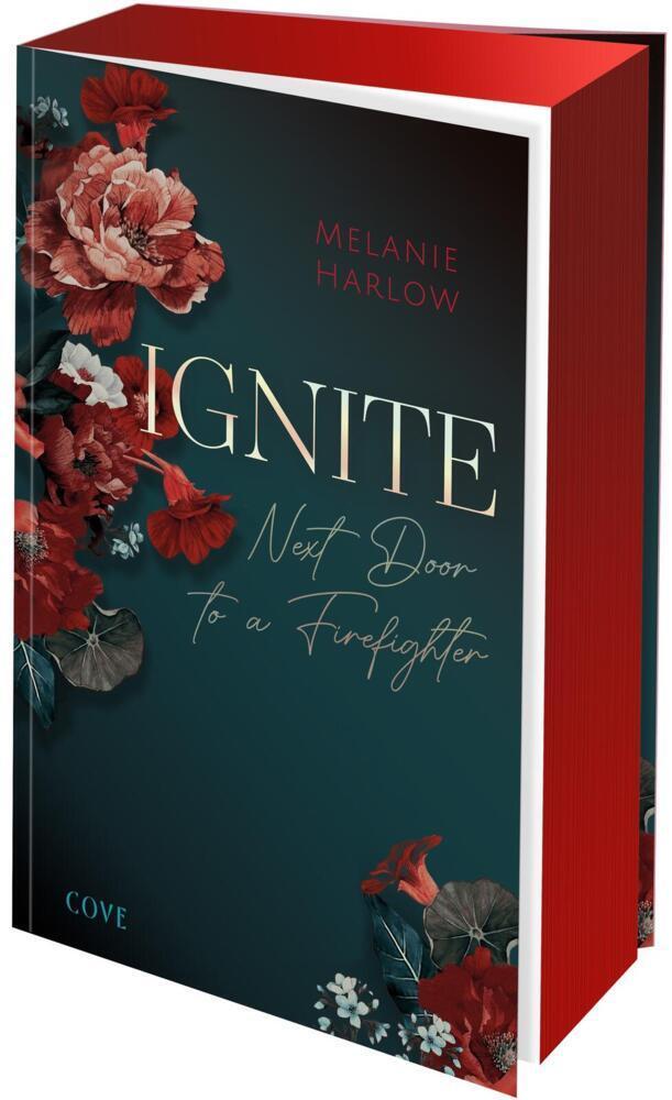Harlow, Melanie/Ignite (New Beginnings at Cloverleigh Farm 1)
