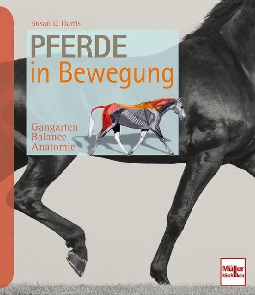 Buchcover: Pferde in Bewegung