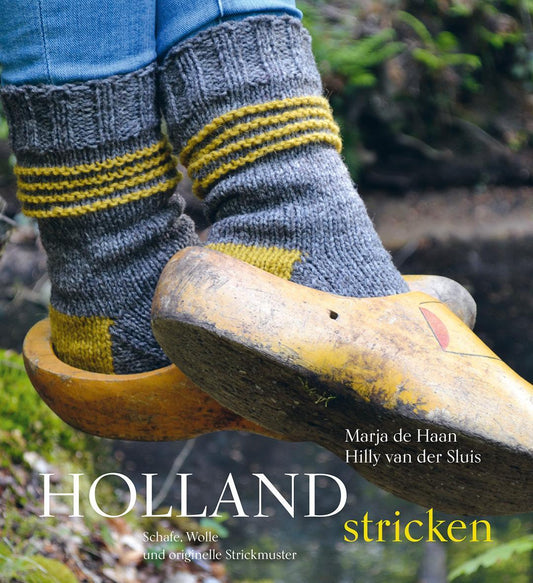 Buchcover: Holland stricken