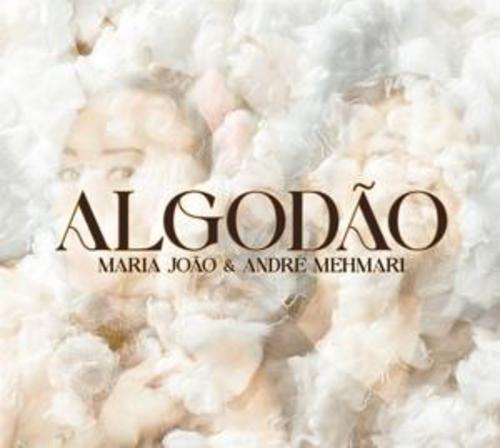 Algodão