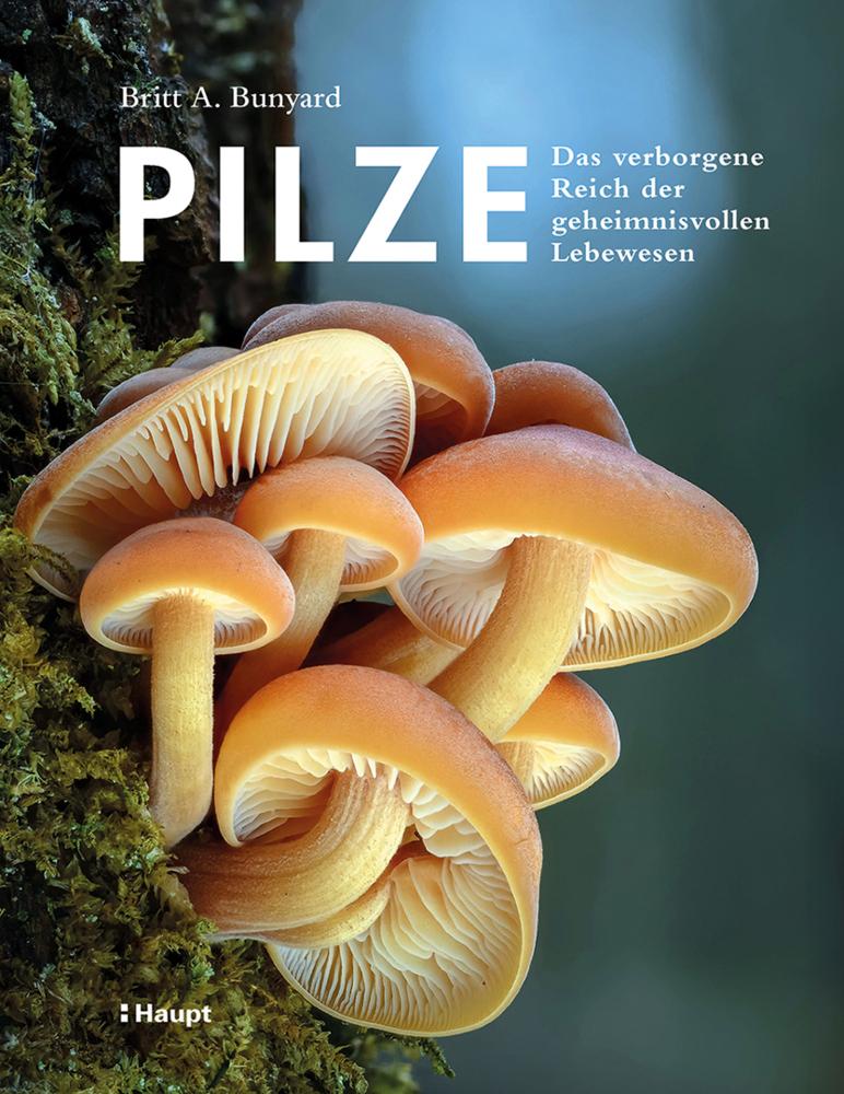 Buchcover: Pilze