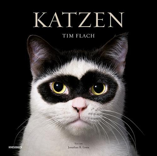 Katzen: Hochwertiger Bildband mit beeindruckender Tierfotografie, stimmungsvollen Aufnahmen und faszinierenden Fakten – das ideale Geschenk für Katzenliebhaber