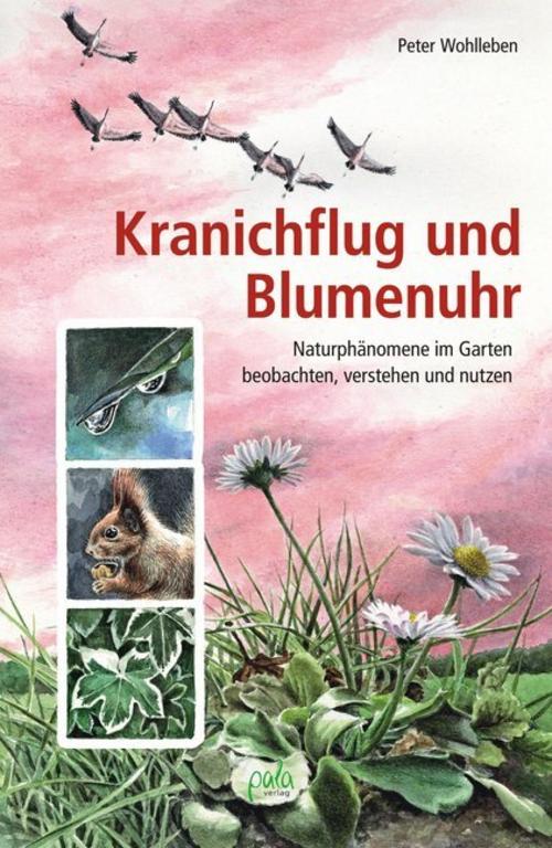 Buchcover: Kranichflug und Blumenuhr