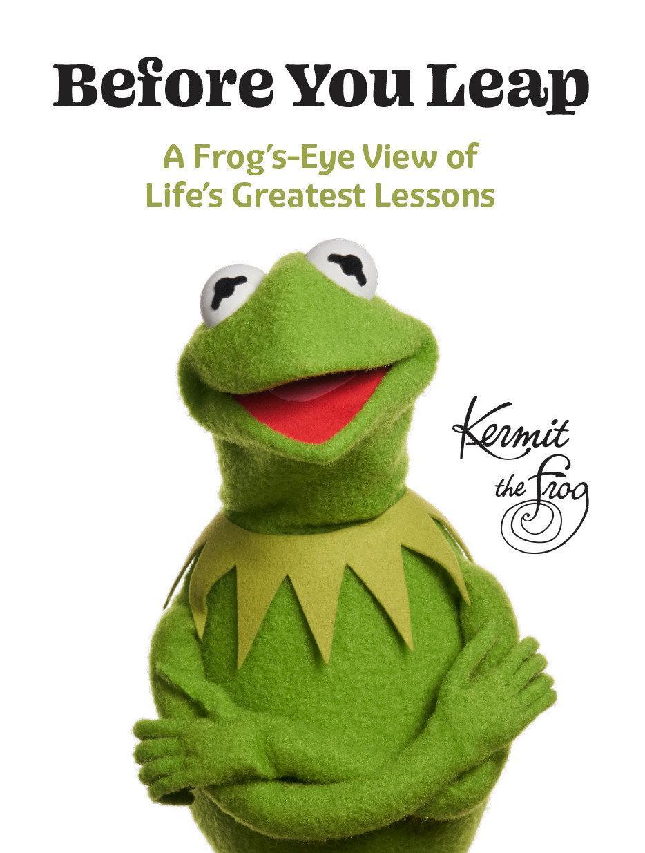 Buchcover: Before You Leap