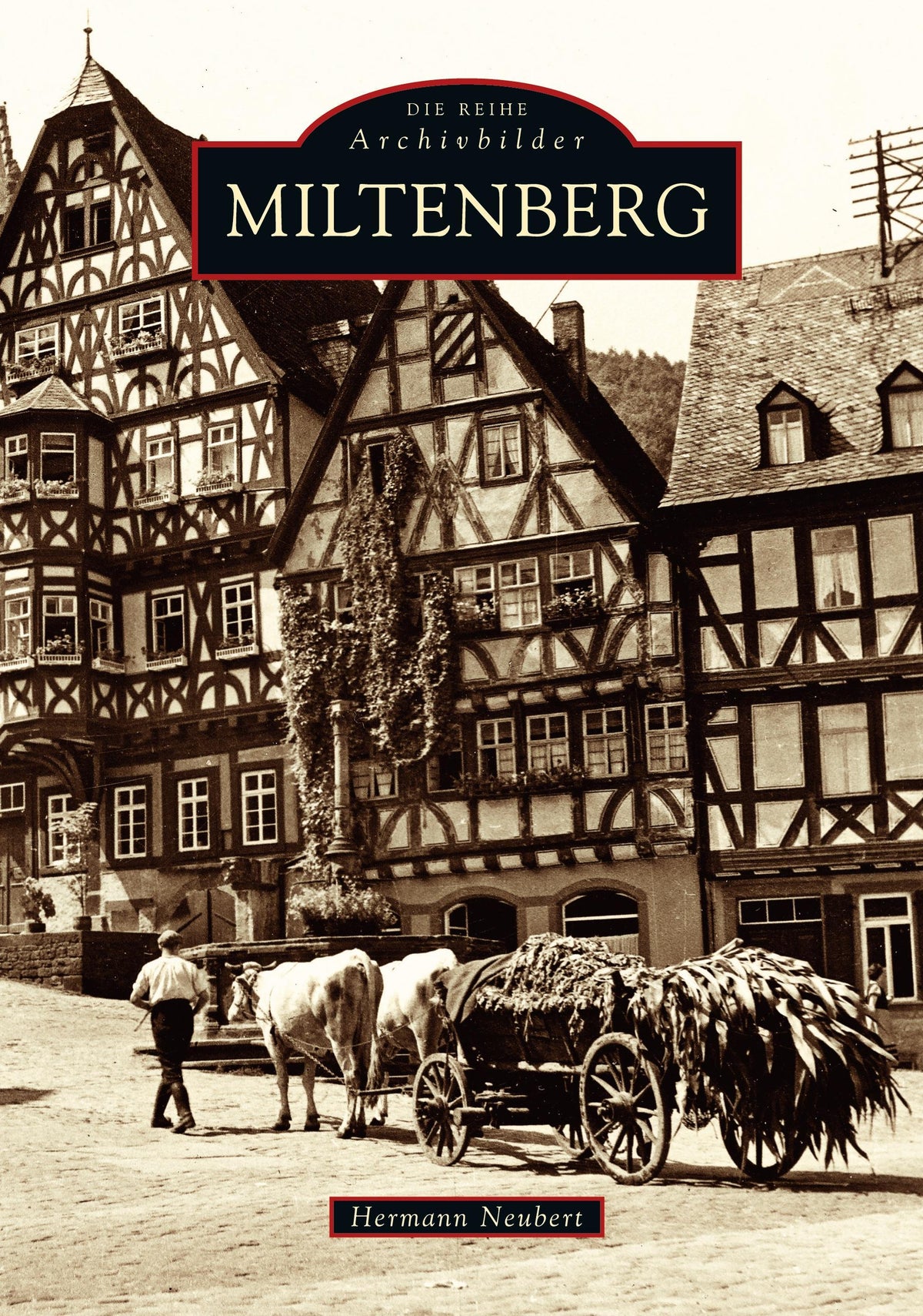 Buchcover: Miltenberg