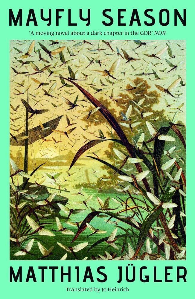 Mayfly Season