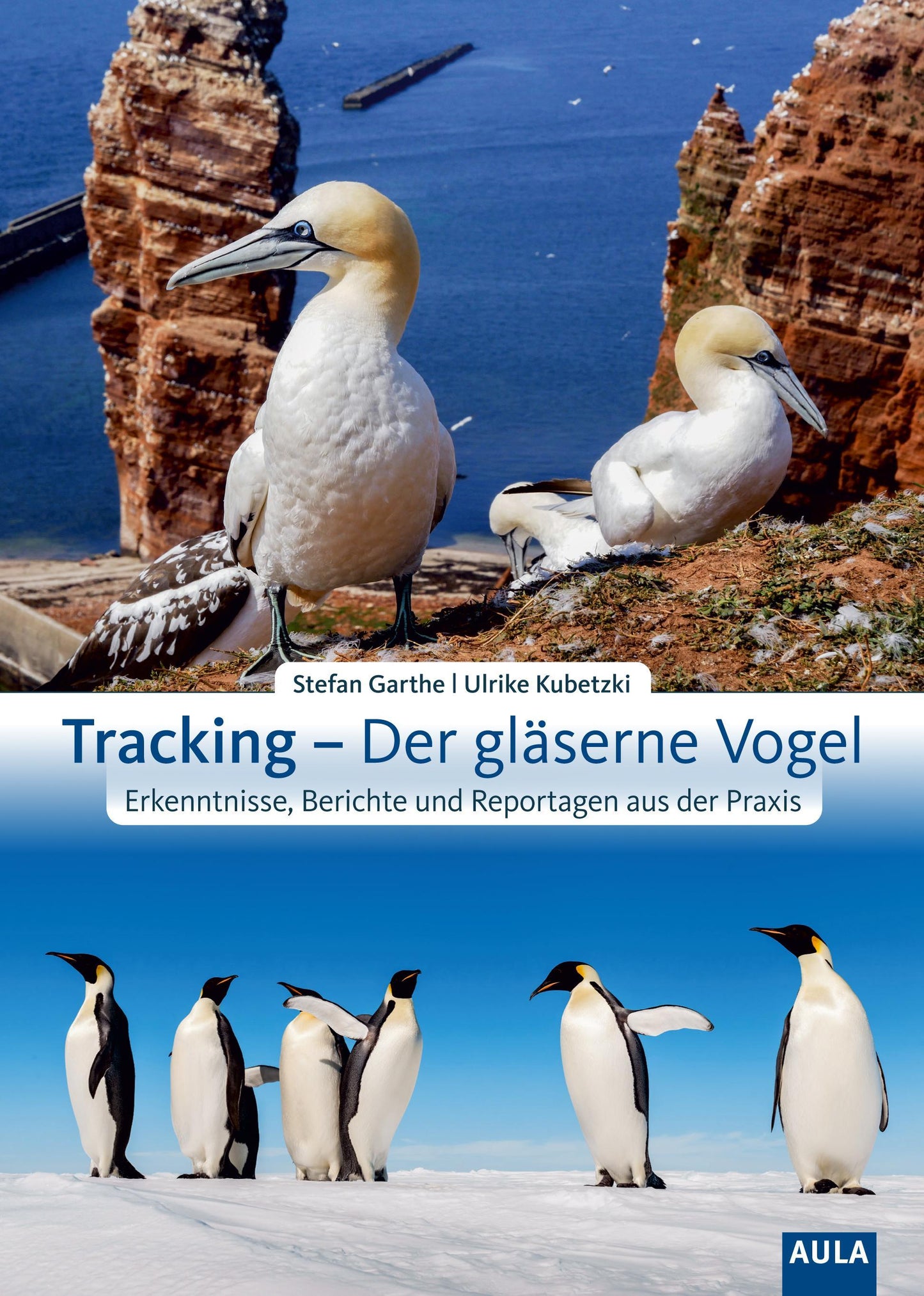 Buchcover: Tracking - Der gläserne Vogel