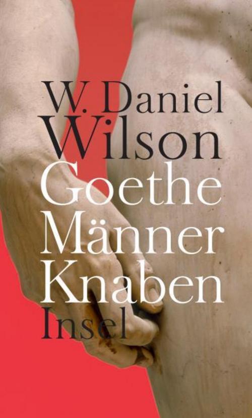 Buchcover: Goethe Männer Knaben