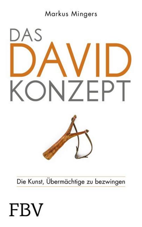 Buchcover: Das David-Konzept