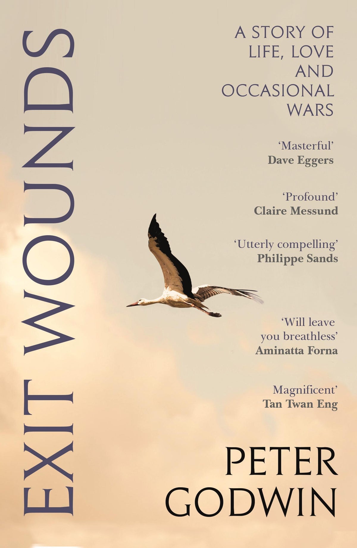 Buchcover: Exit Wounds