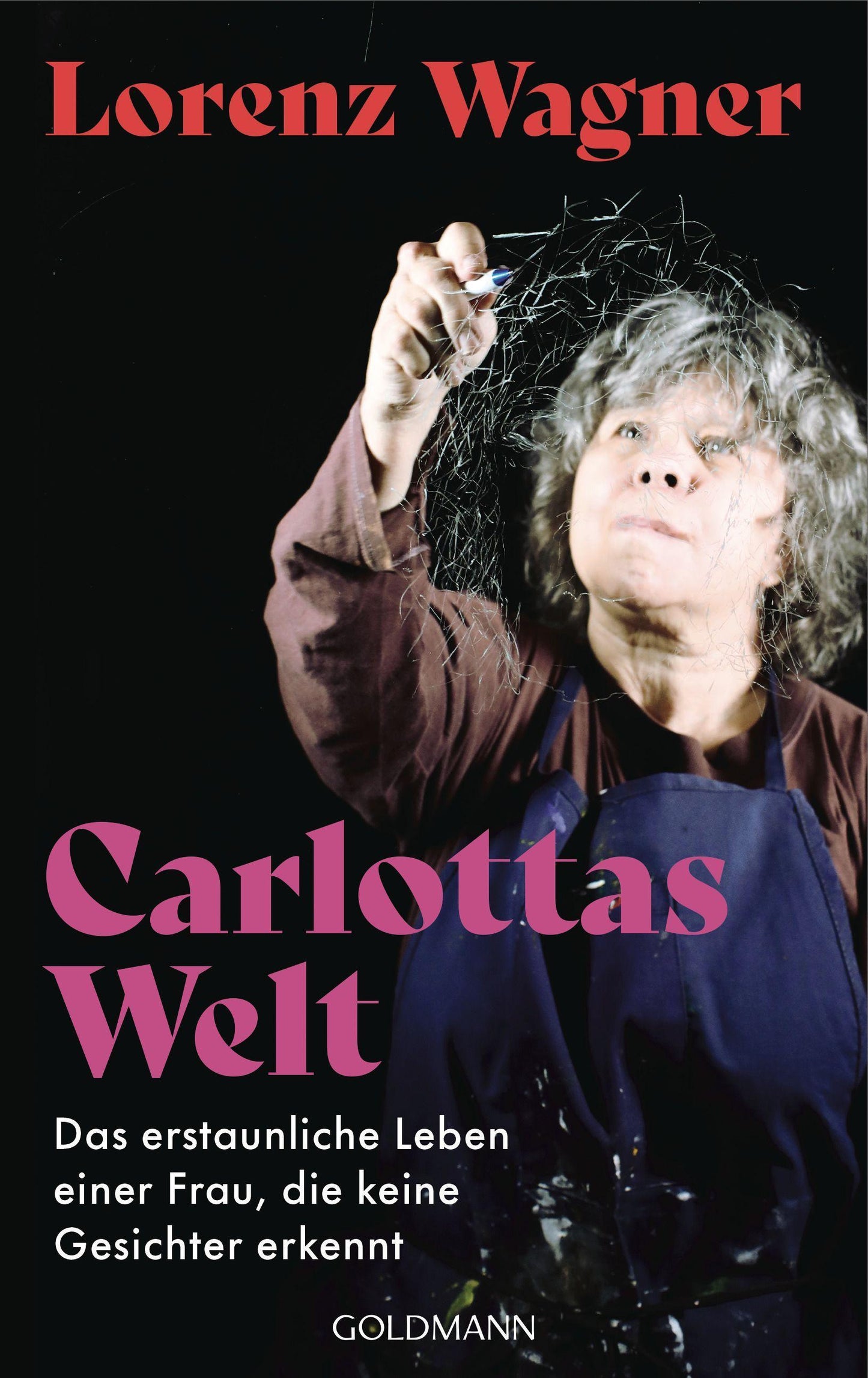 Carlottas Welt: Das erstaunliche Leben einer Frau, die keine Gesichter erkennt