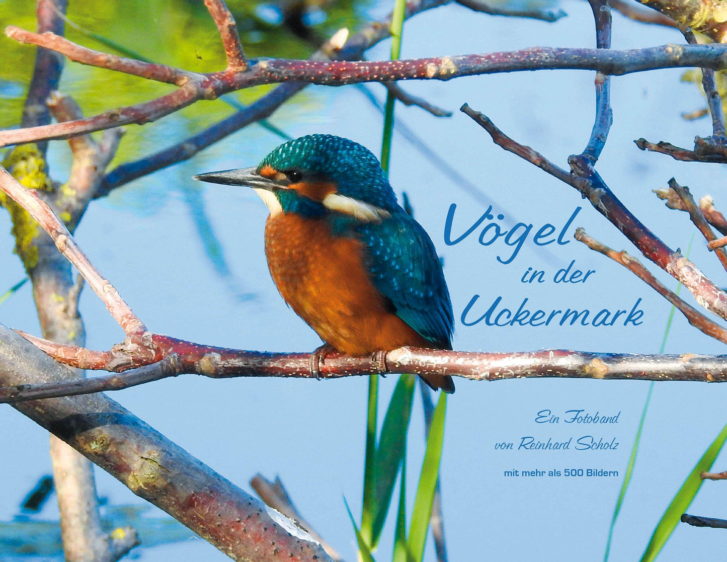 Buchcover: Vögel in der Uckermark