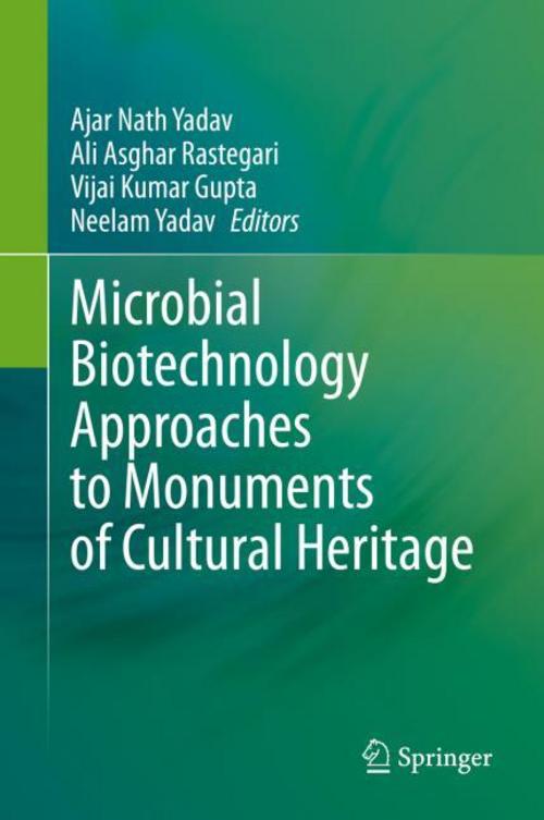 Buchcover: Microbial Biotechnology Approaches to Monuments of Cultural Heritage