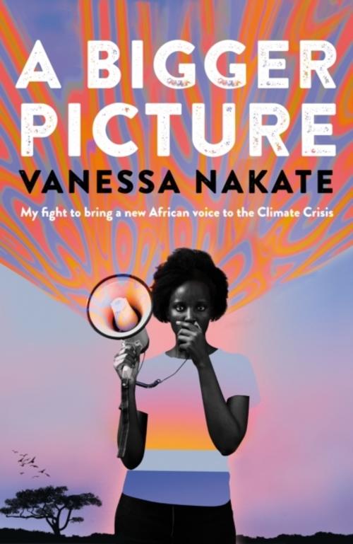 Buchcover: A Bigger Picture