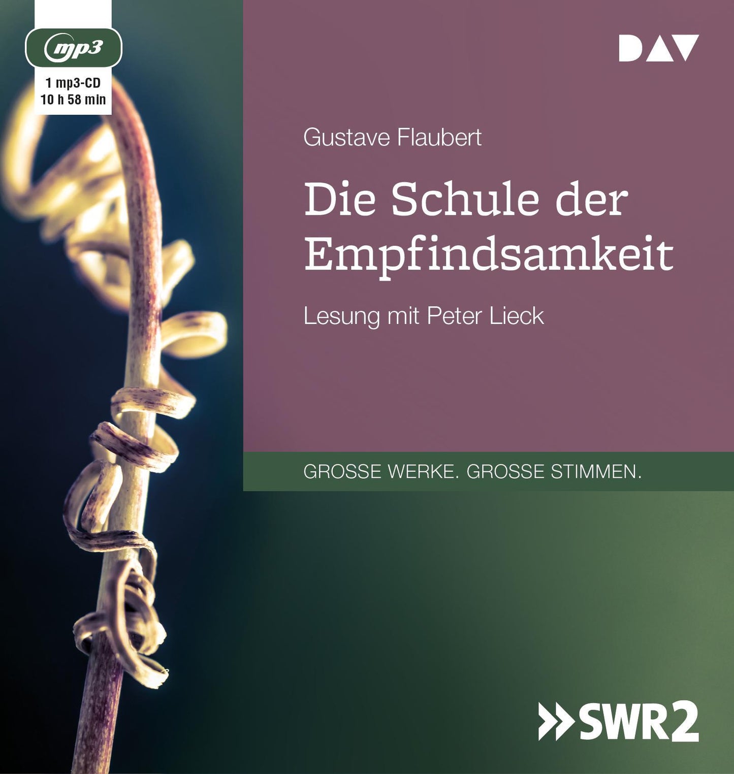 Die Schule der Empfindsamkeit,1 Audio-CD, 1 MP3