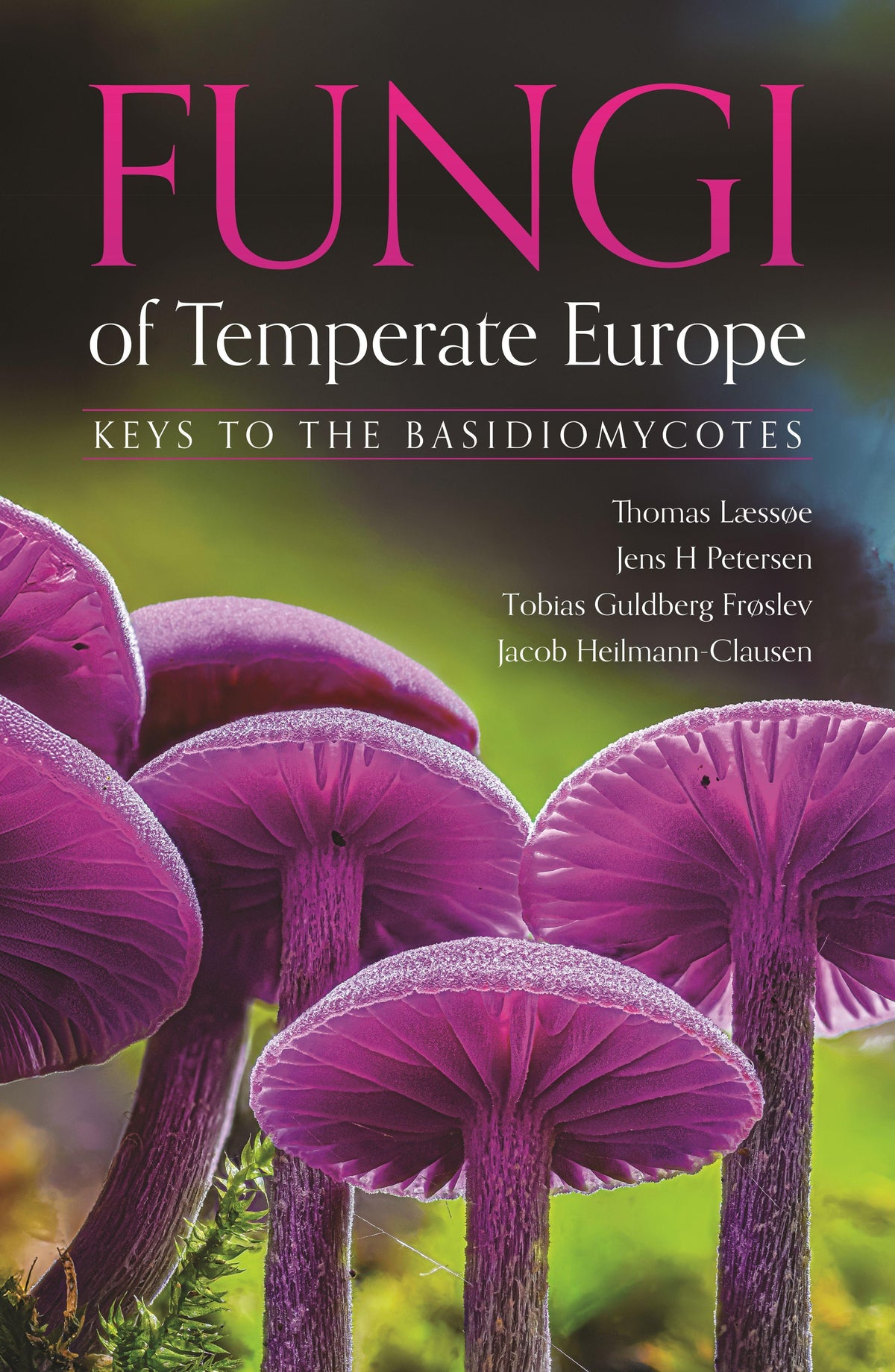 Buchcover: Fungi of Temperate Europe