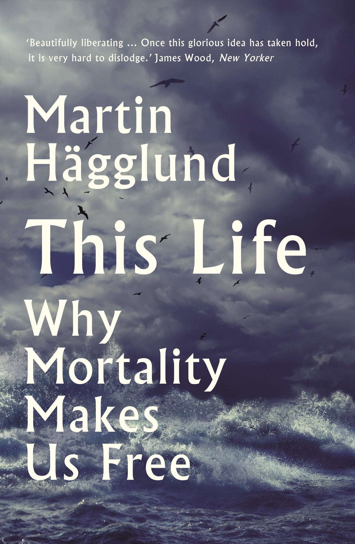 Buchcover: This Life