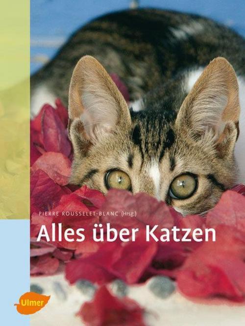 Buchcover: Alles über Katzen