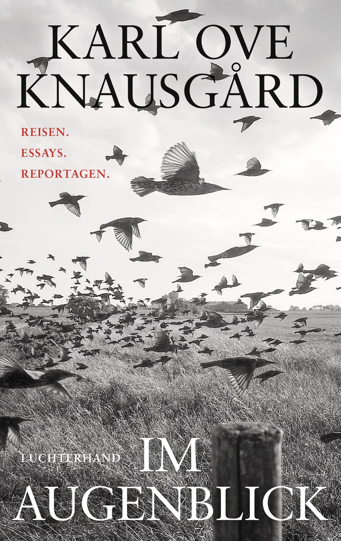 Im Augenblick: Reisen. Essays. Reportagen.