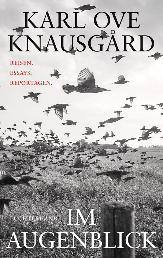 Im Augenblick: Reisen. Essays. Reportagen.