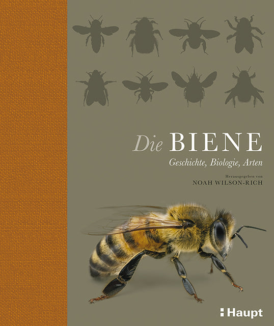Buchcover: Die Biene