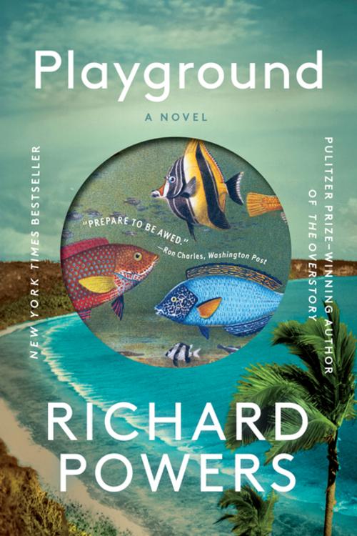 Buchcover: Playground