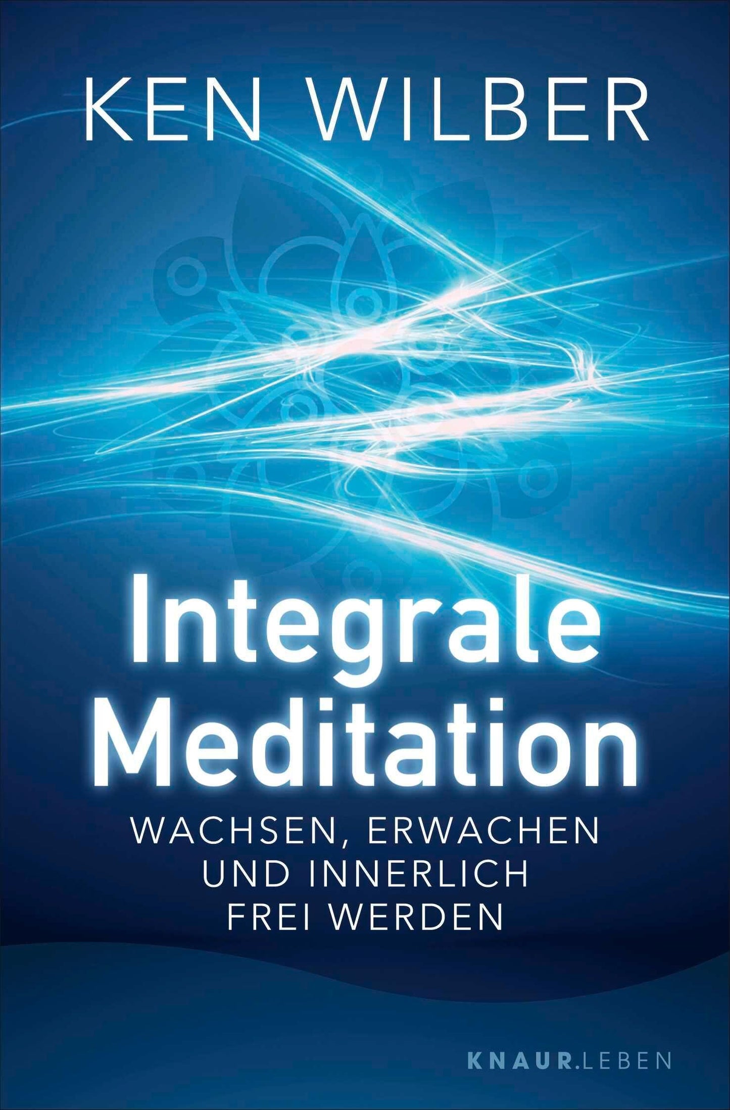 Integrale Meditation