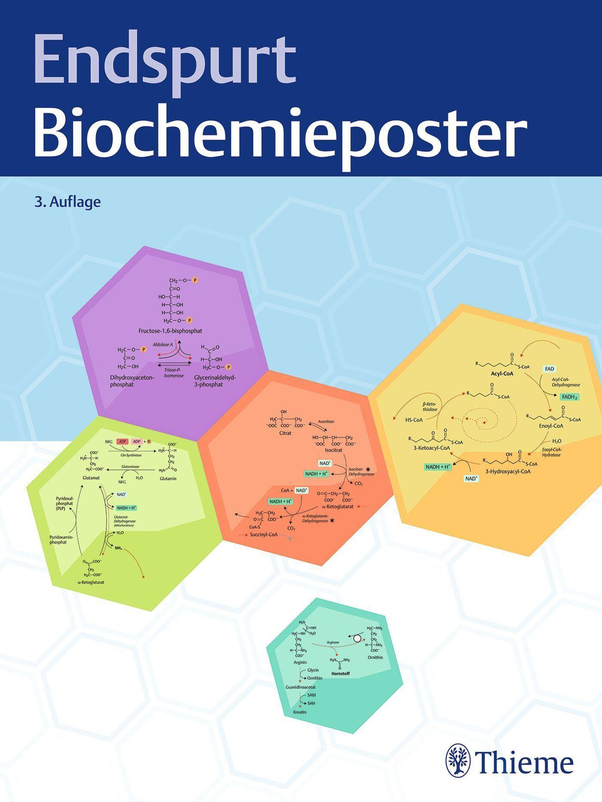 Buchcover: Endspurt Biochemieposter