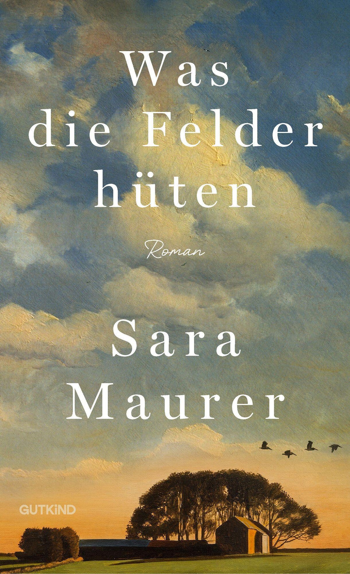 Was die Felder hüten: Roman | Mitreißend, bildgewaltig und voller Gefühl – ein Roman, der im Kopf und Herzen bleibt.