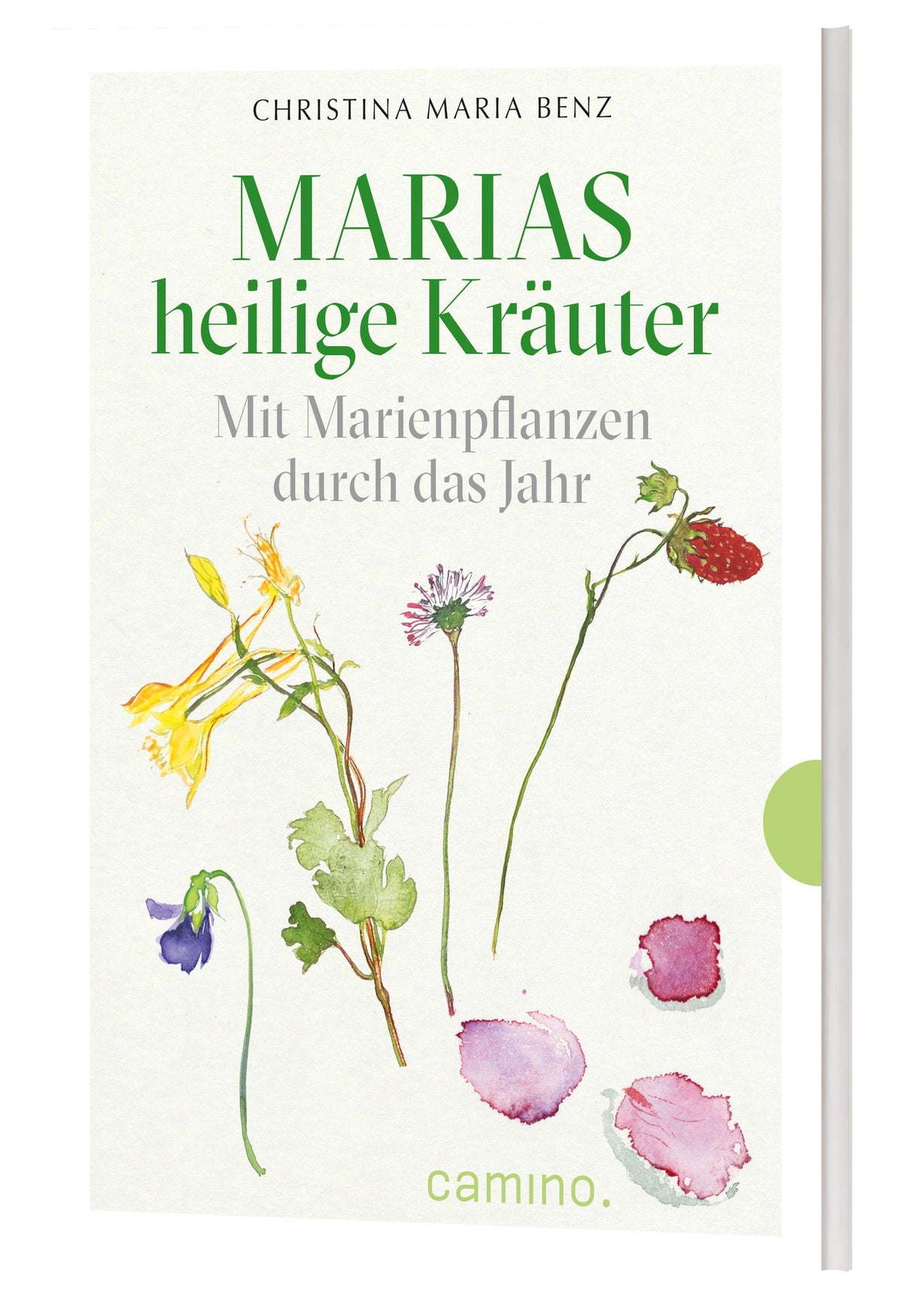Buchcover: Marias heilige Kräuter
