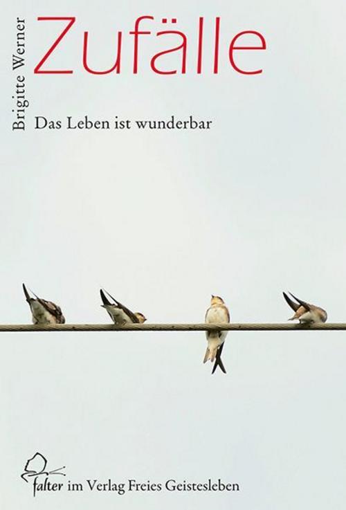 Buchcover: Zufälle