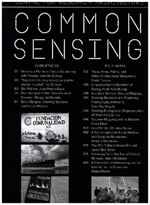 Buchcover: Common Sensing