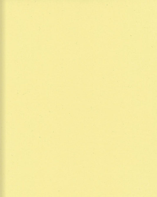Liza Lacroix. One. Two. Three. [...] Twenty-Six