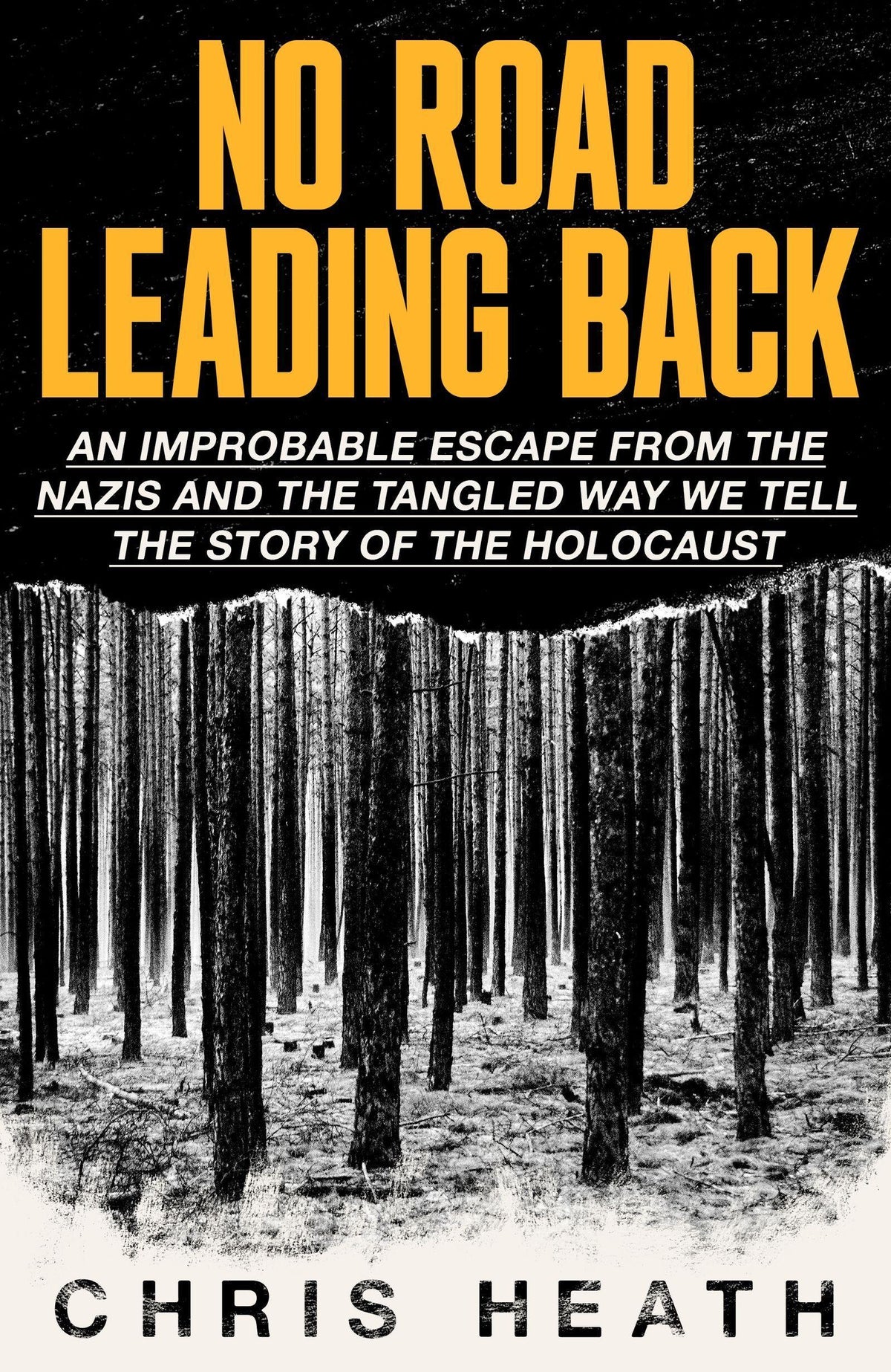 Buchcover: No Road Leading Back