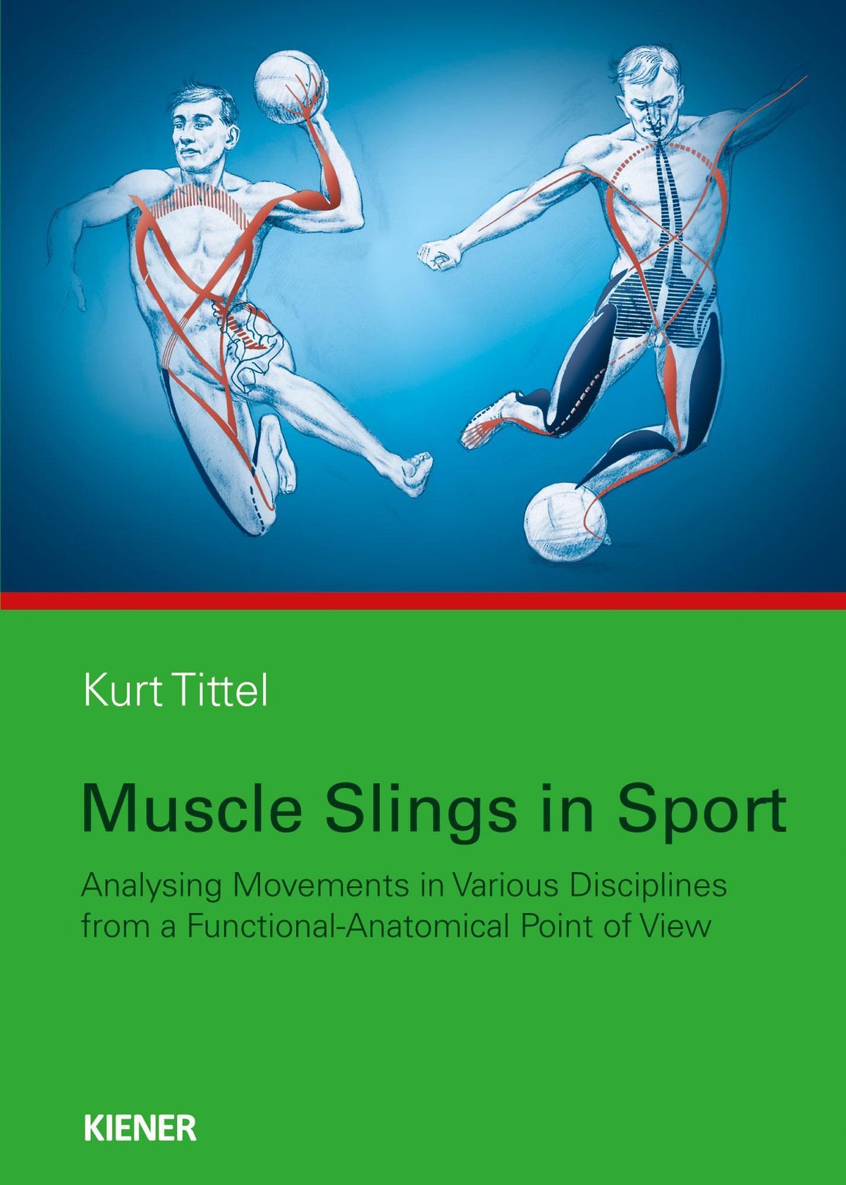 Buchcover: Muscle Slings in Sport