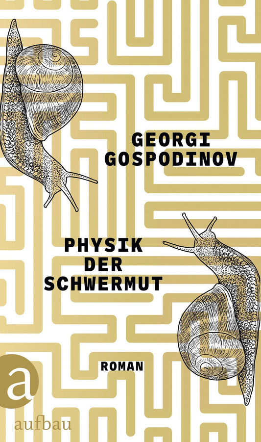 Physik der Schwermut: Roman