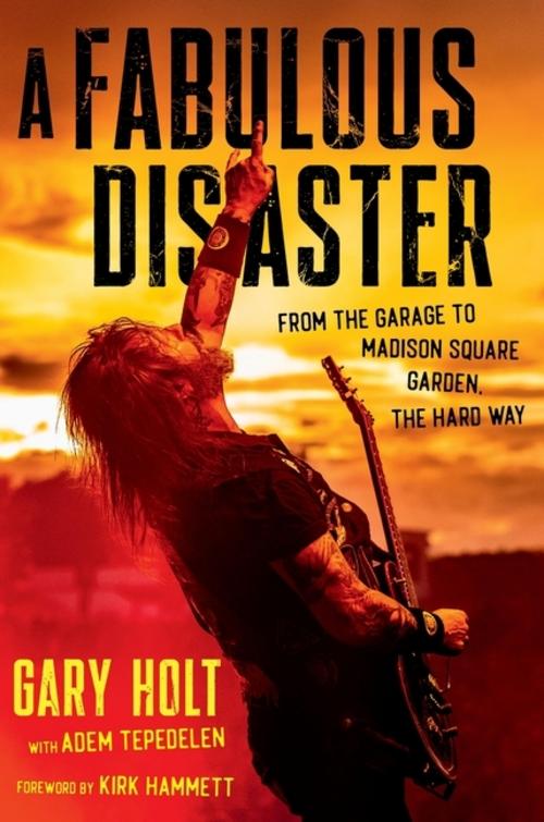 Buchcover: A Fabulous Disaster