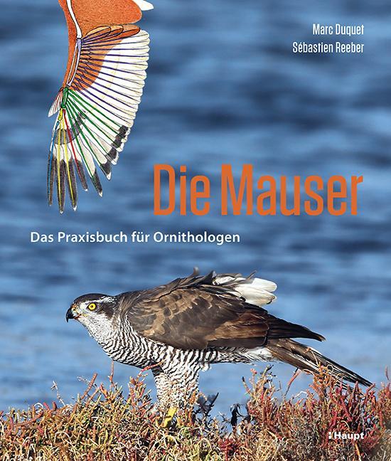 Buchcover: Die Mauser