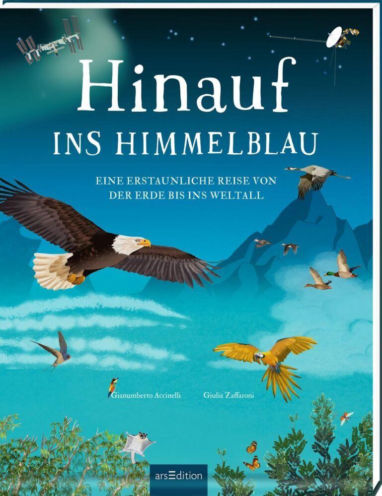 Accinelli, Gianumberto/Hinauf ins Himmelblau
